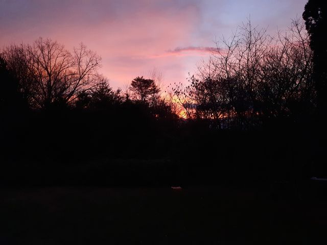Dark Morning