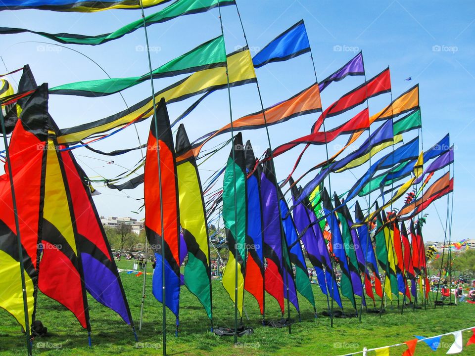 Colorful flags in Washington DC