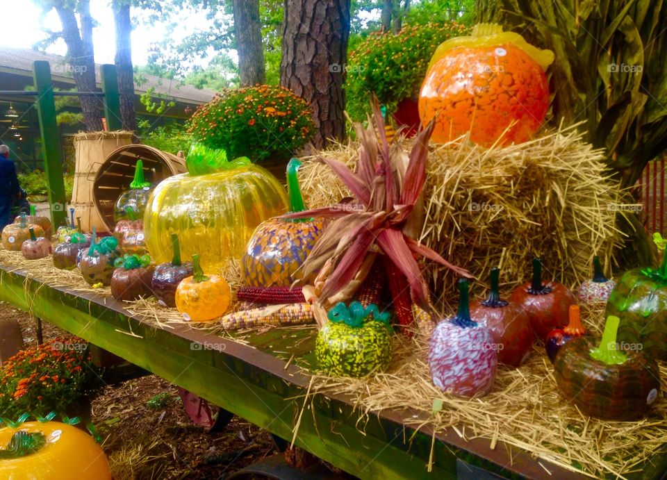 Autumn pumpkin display