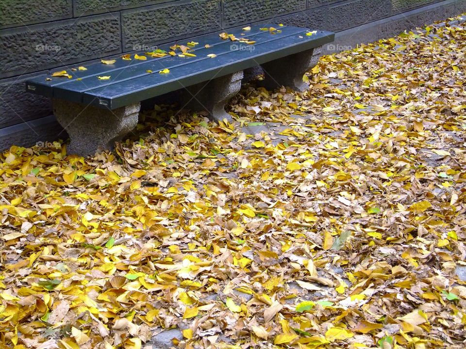 NEW YORK CITY CENTRAL PARK 5TH AVE. BENCH