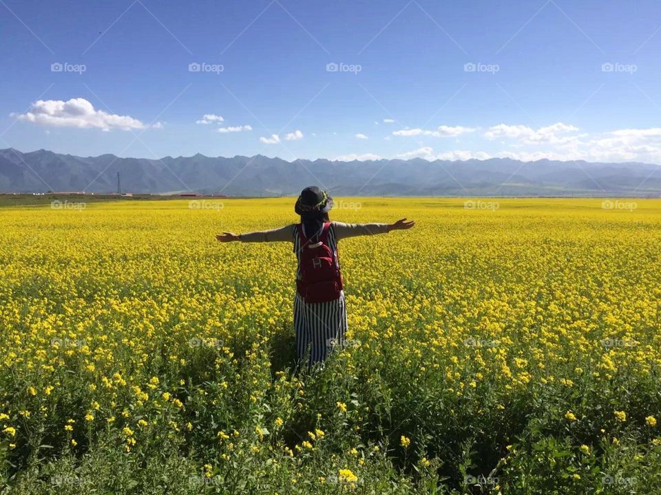 The sea of flower, touch with nature.