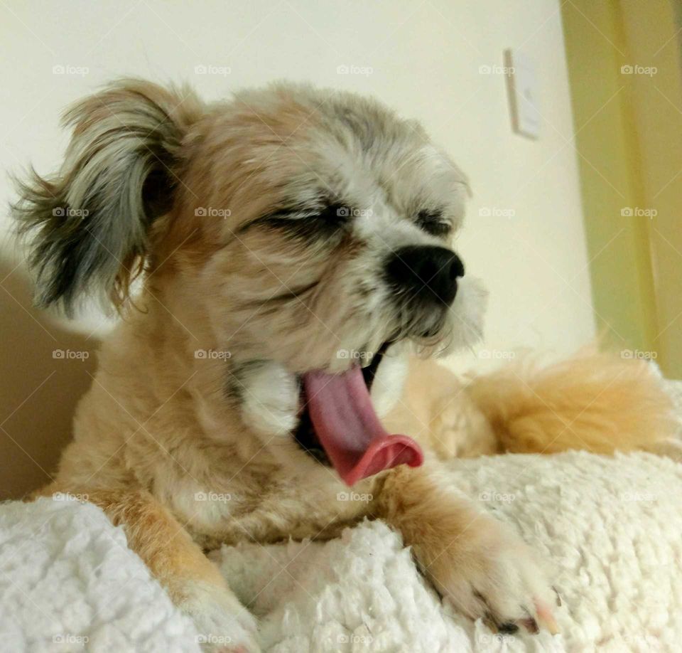 up all night sleep all day