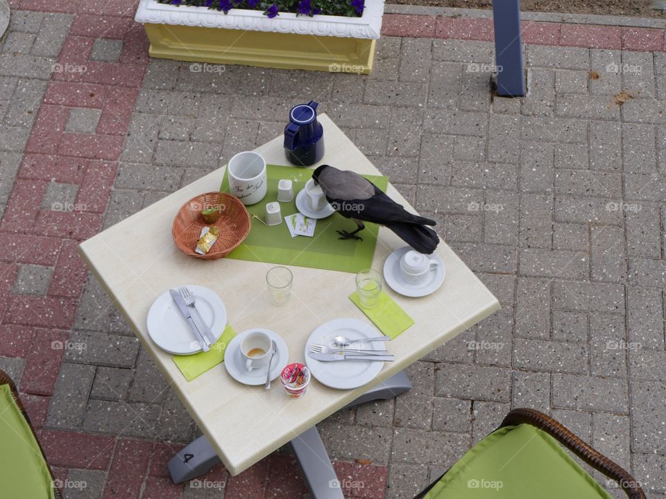Breakfast table from above
