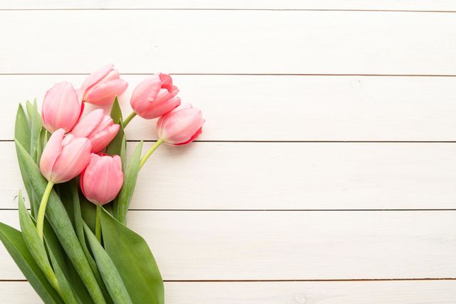 happy spring moment