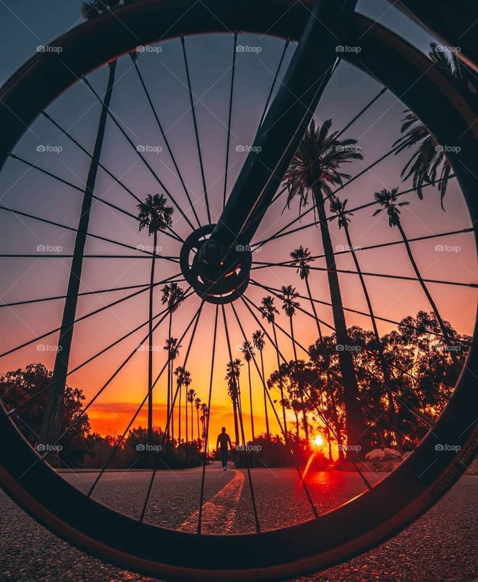 A bicycle Art that collection