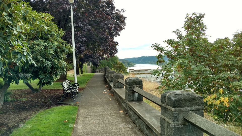 Tree, No Person, Nature, Garden, Bench