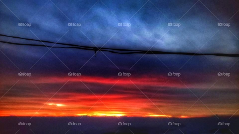 Morning sunshine come sripadaya