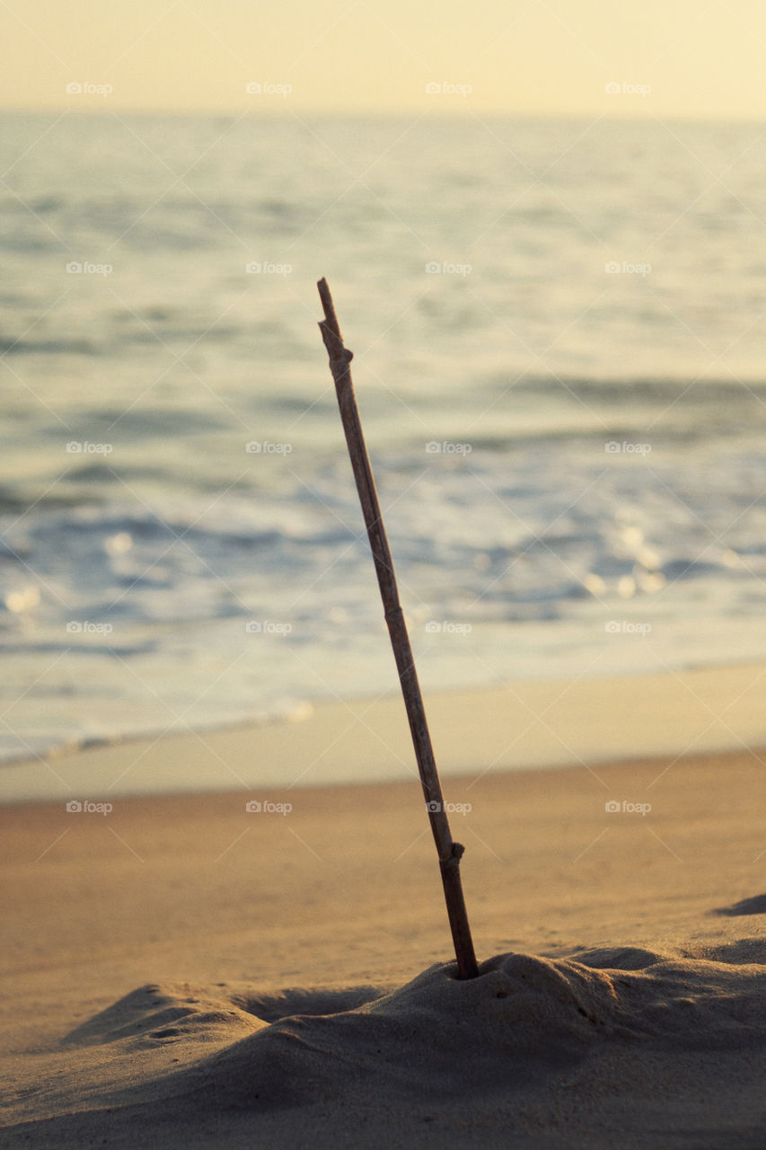 beach wood water sand by jmiguel