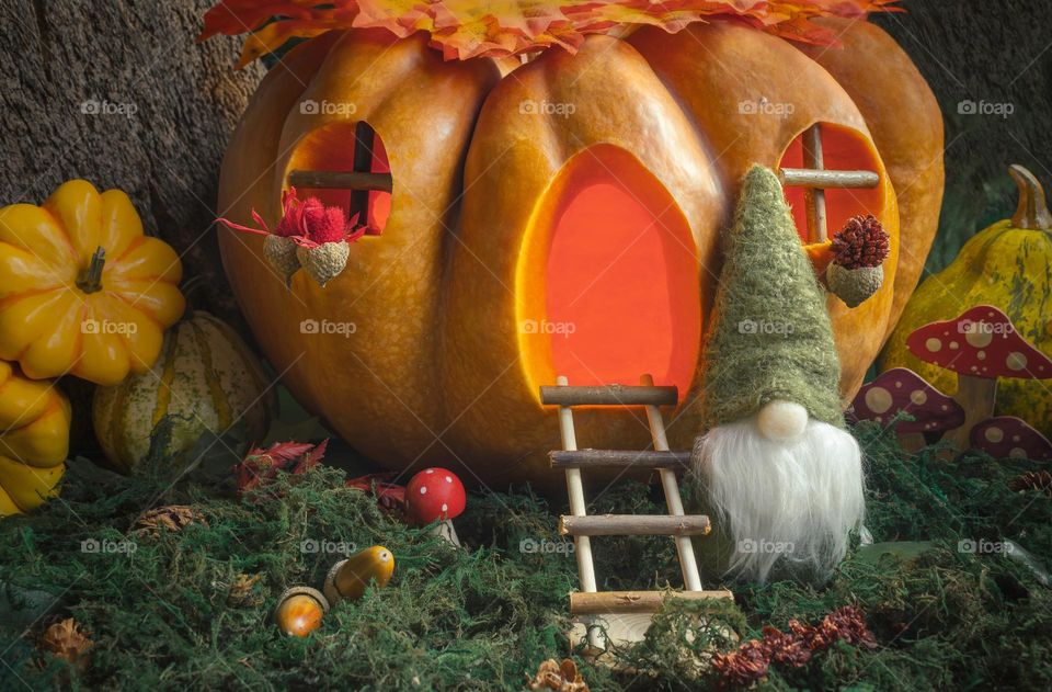 Pumpkin carved into fairytale home with gnome