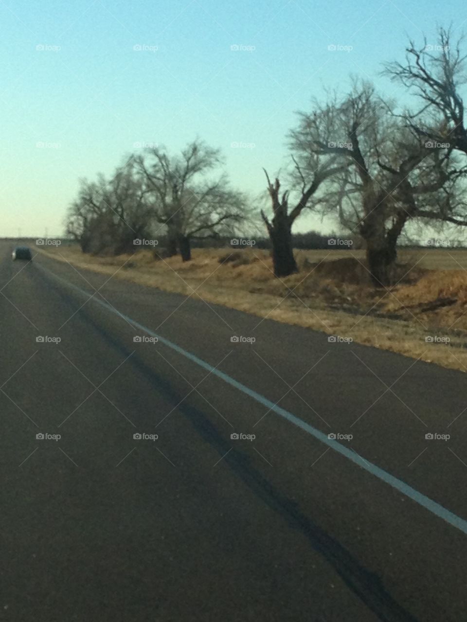 Road, Landscape, Tree, No Person, Guidance