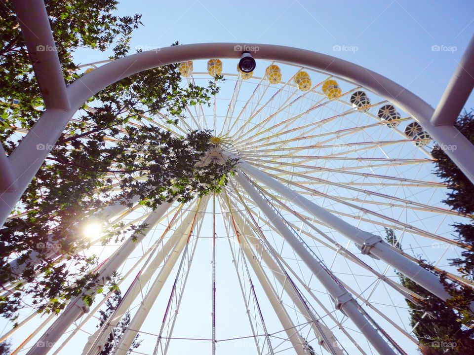 I feel like I'm on a ferris wheel. Sometimes I'm on top of the world, sometimes I hit rock bottom. (Chicago, USA)