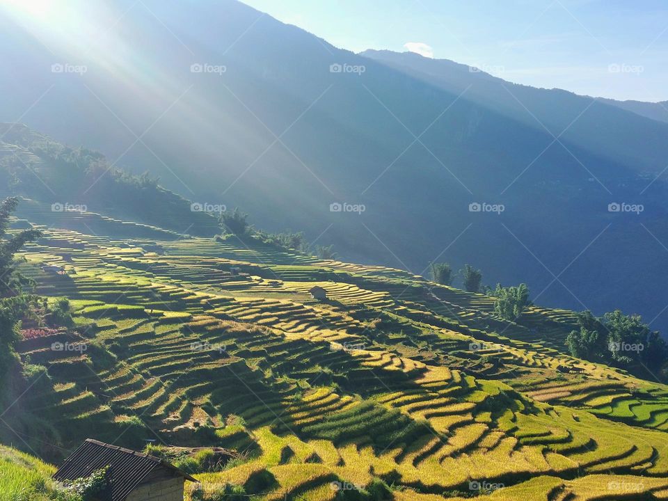 Autumn sunshine in Ngai Thau rice terraces valley in Viet nam