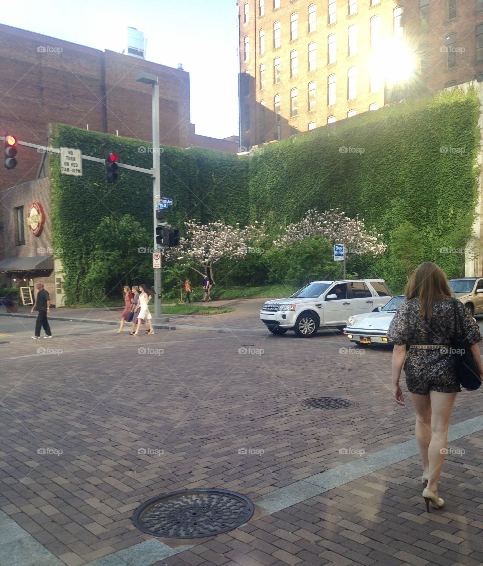 Downtown Pittsburgh 🌱