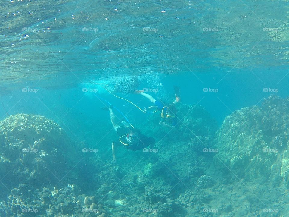 Father And Son Scuba Diving