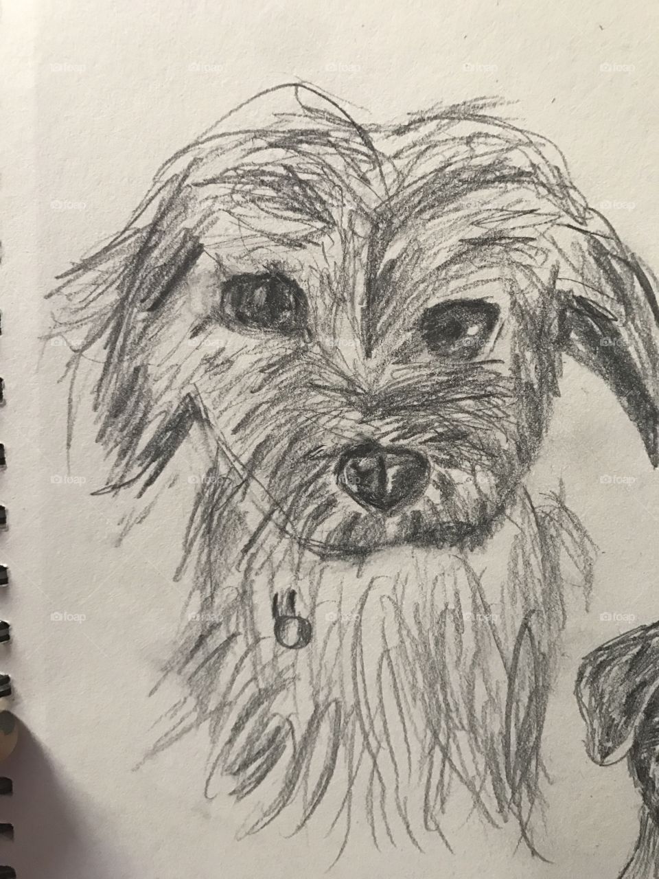 Dog drawing #2