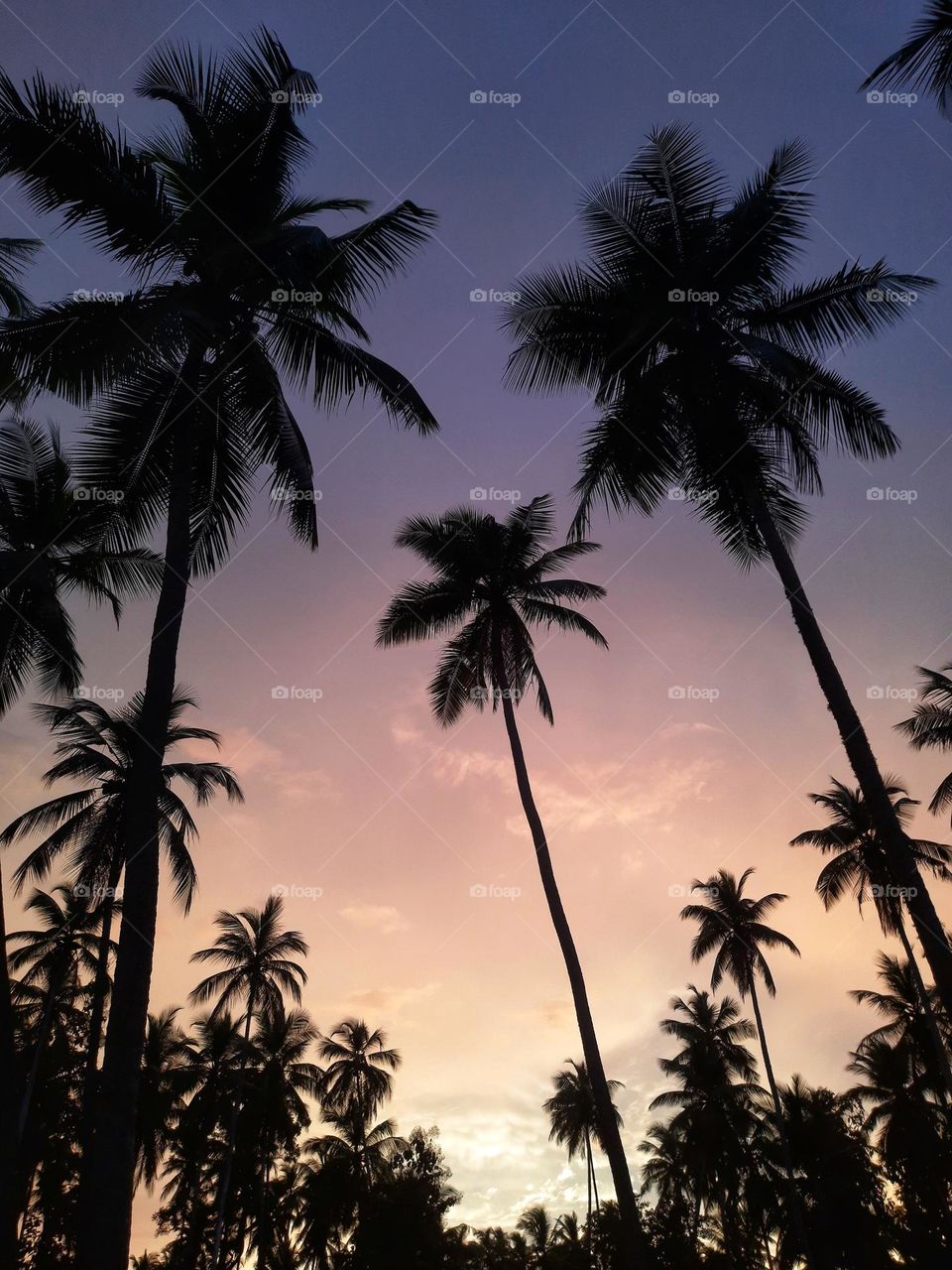 Beautiful evening sky with sunset in sri lanka