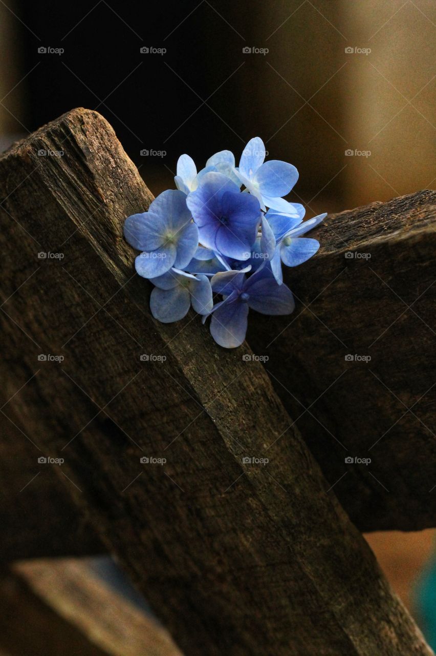 wooden flowers purple