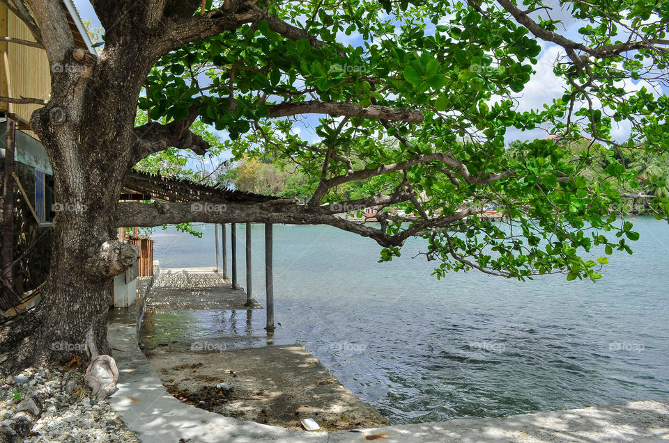 House on the water 