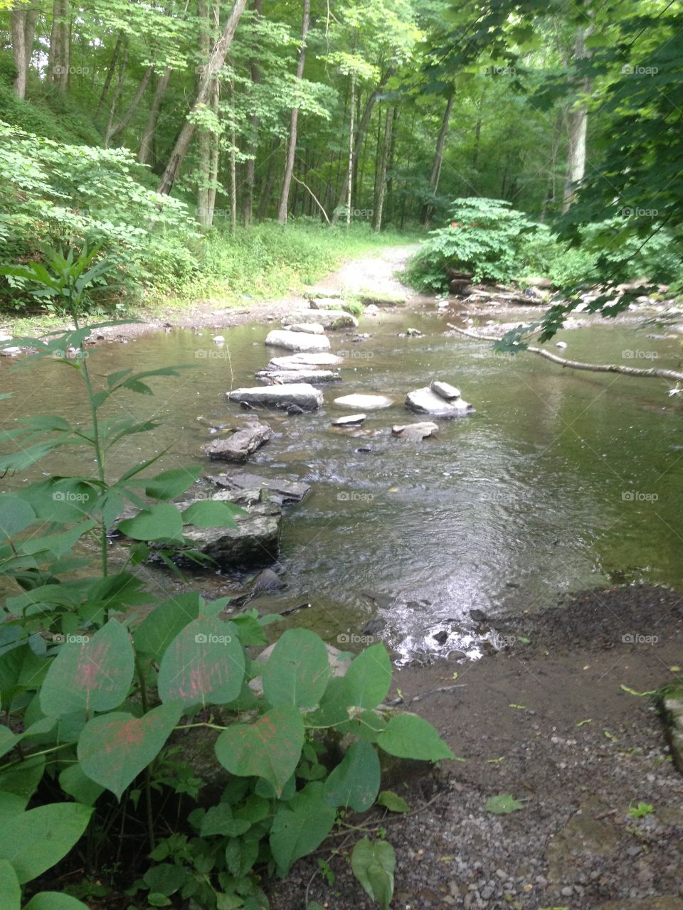 Rock trail across the stream 