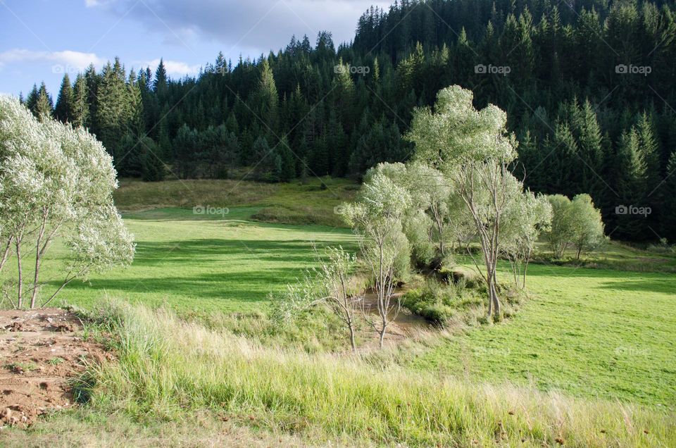 Mountain landscape