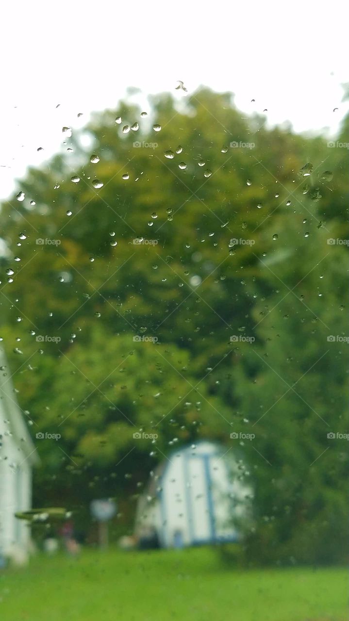 Rain Drops