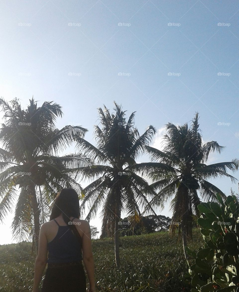 Dia de paz e sossego.