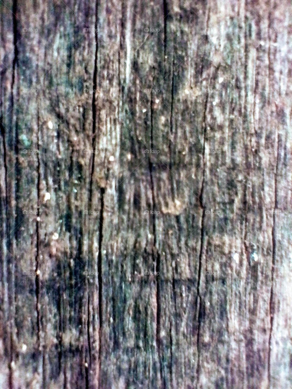 Art Pattern OF Wood