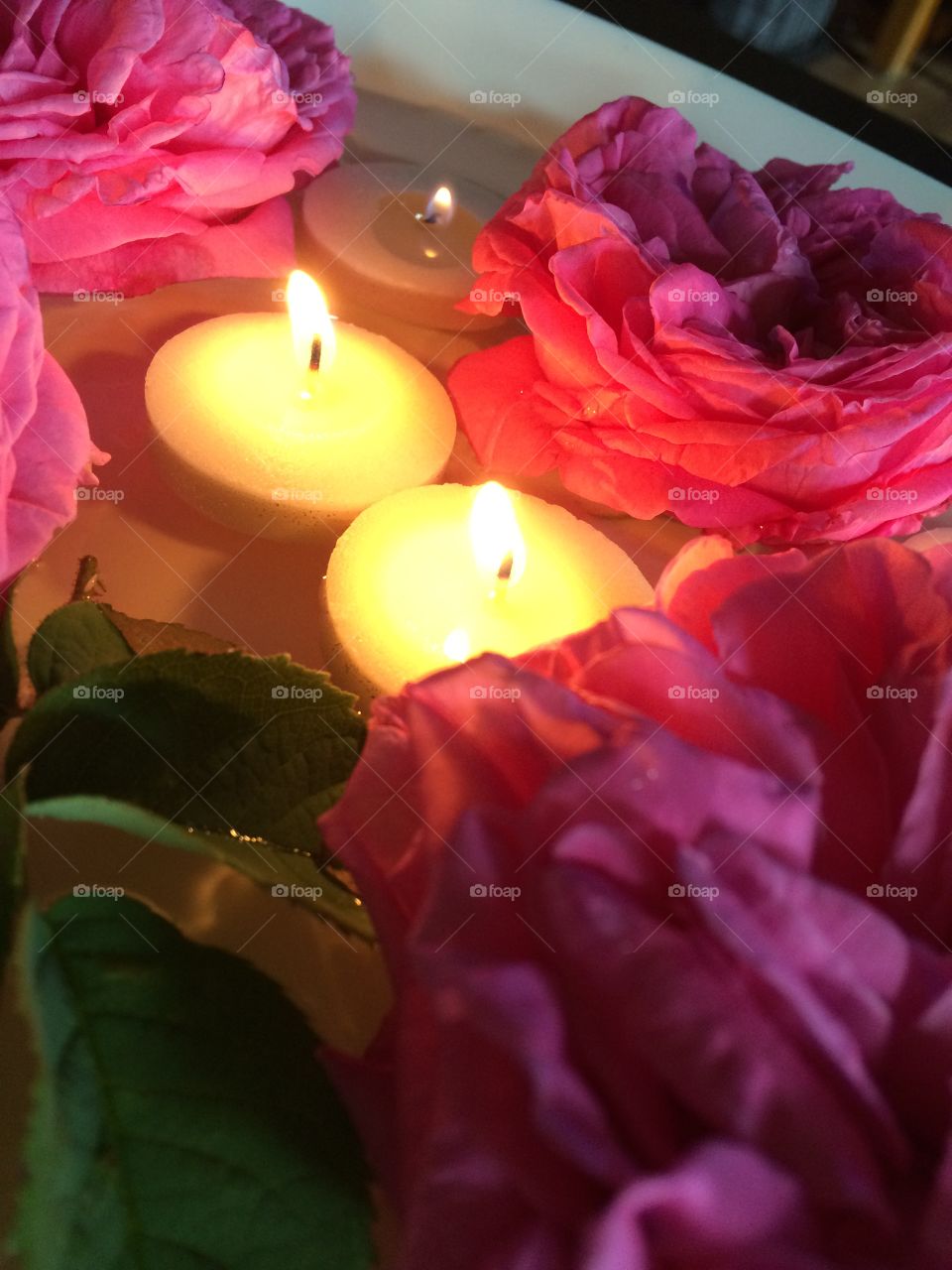 Wild rose ambience. Rose and tea lights 