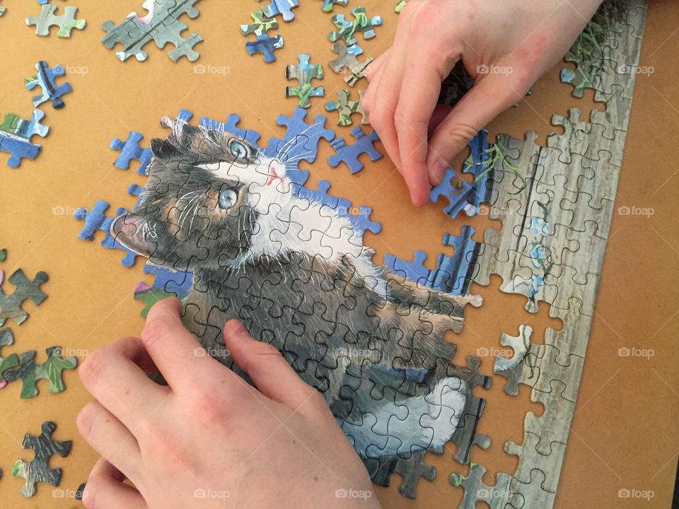 Kitten Puzzle