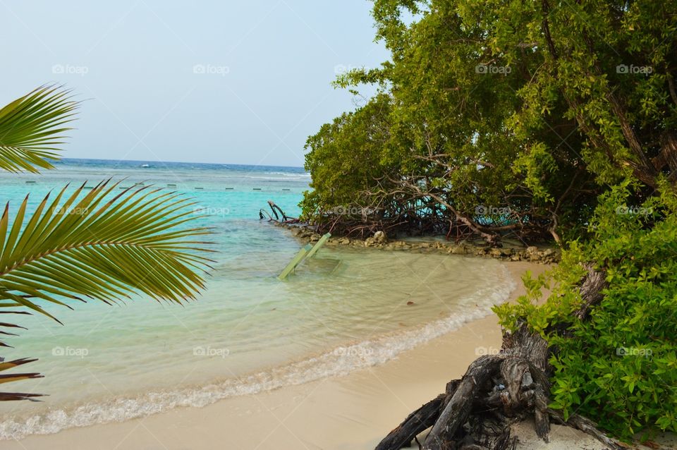 Beach at the little French key