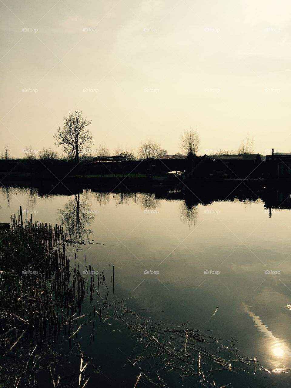 Water reflection in Holland. By the water in Nieuw-Lekkerland Kinderdijk in Holland. 