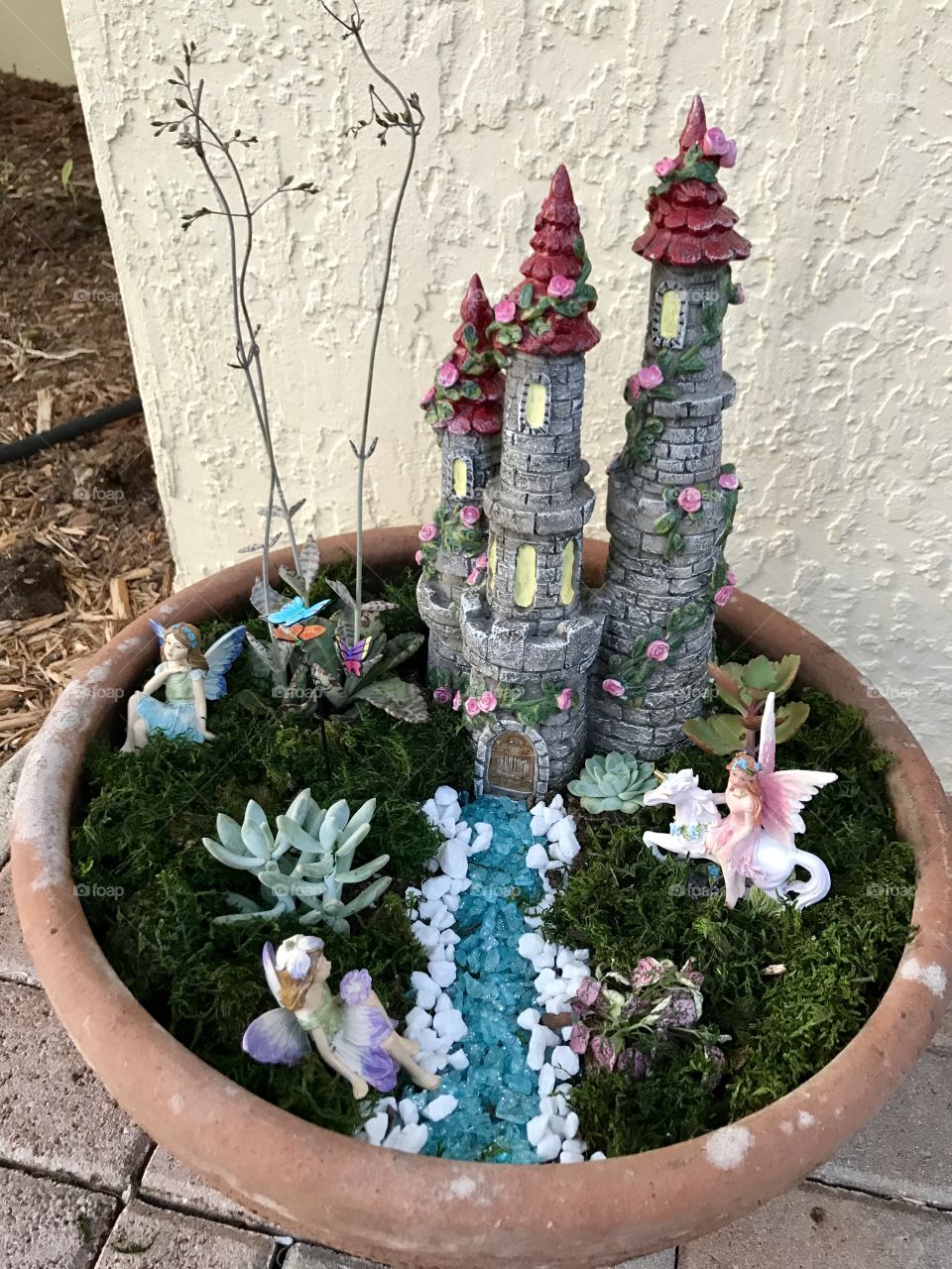 Fairy garden 