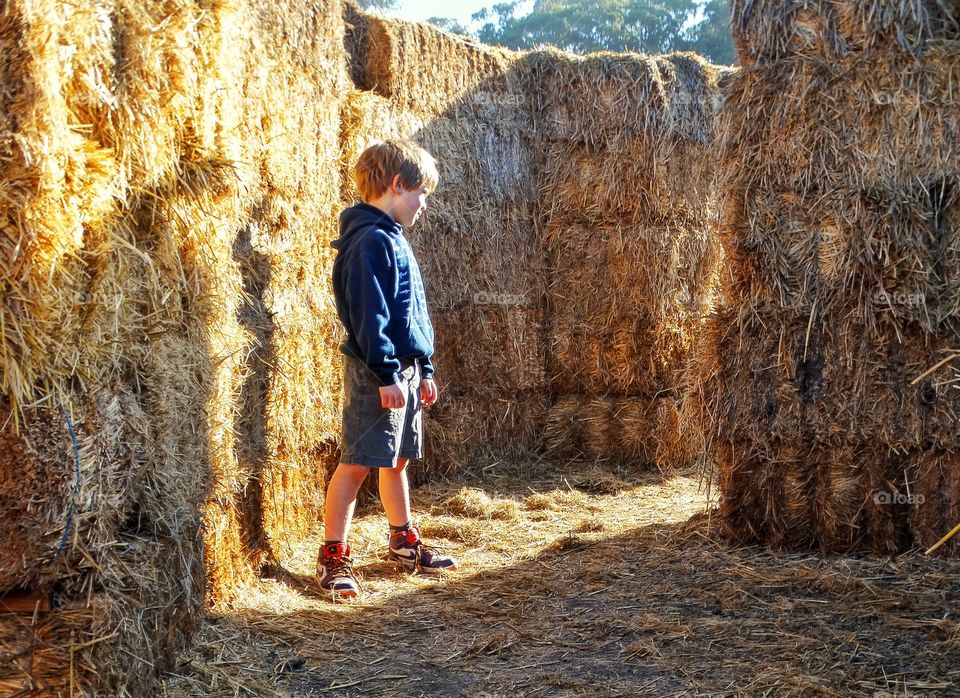 Young Boy Exploring A Hay Maze
