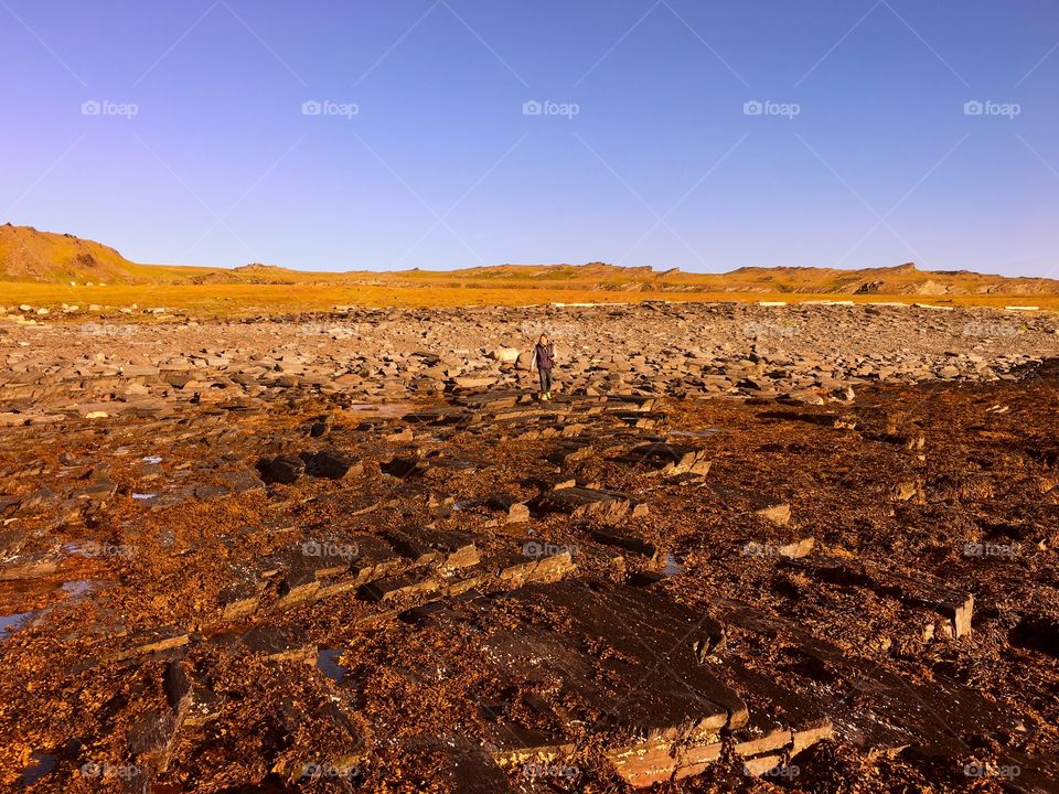 Yellow soil 