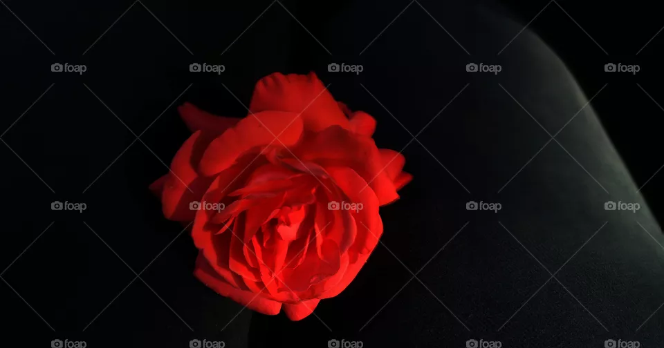 Fleur