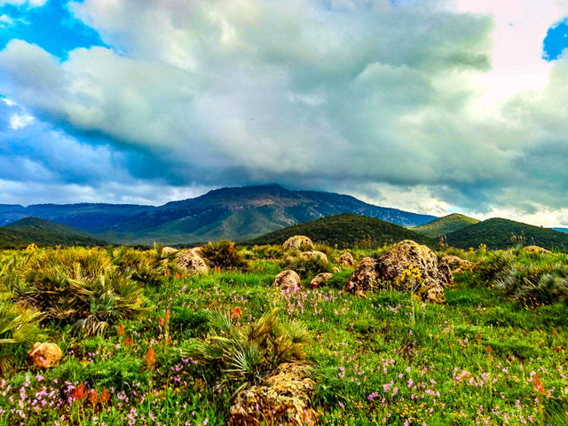 landscape
