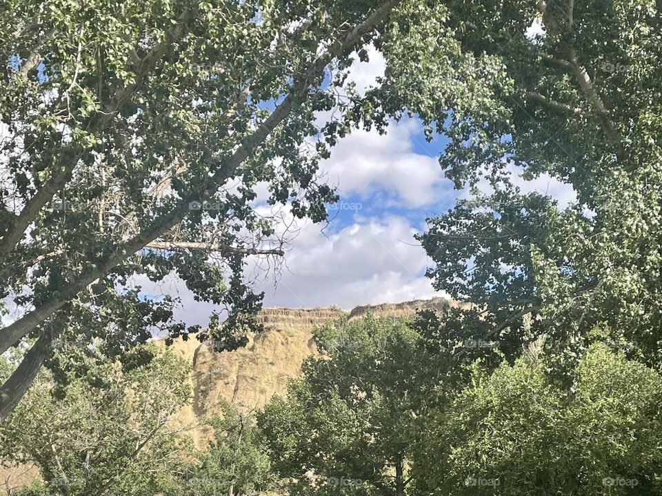 Triangle made in the sky with the trees and hillside of this coulee/hillside, to show a partially cloudy day and blue skies on this sunny day outside, down at the park in Medicine Hat, Alberta, Canada 