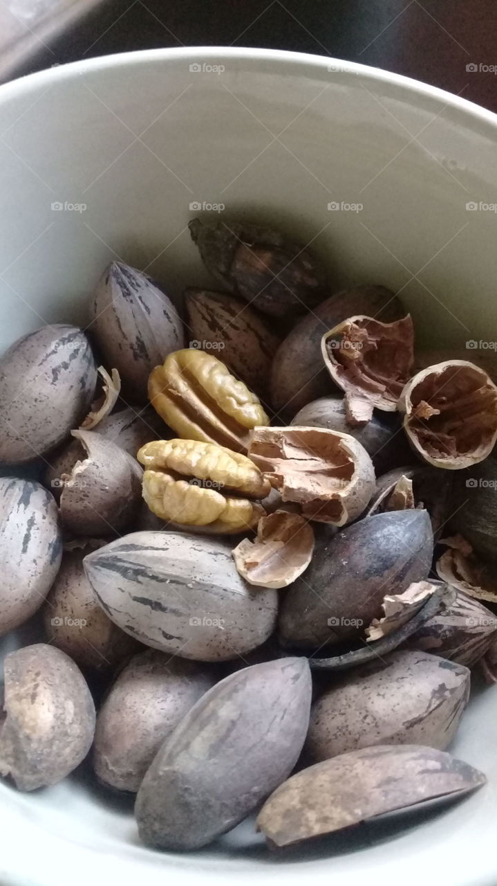 Nutty harvest