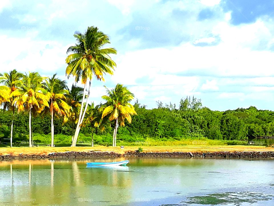 A bright day near the Lake, there are coconut trees, a little blue boat in the water, grass, green plants at the background and beautiful Sky.