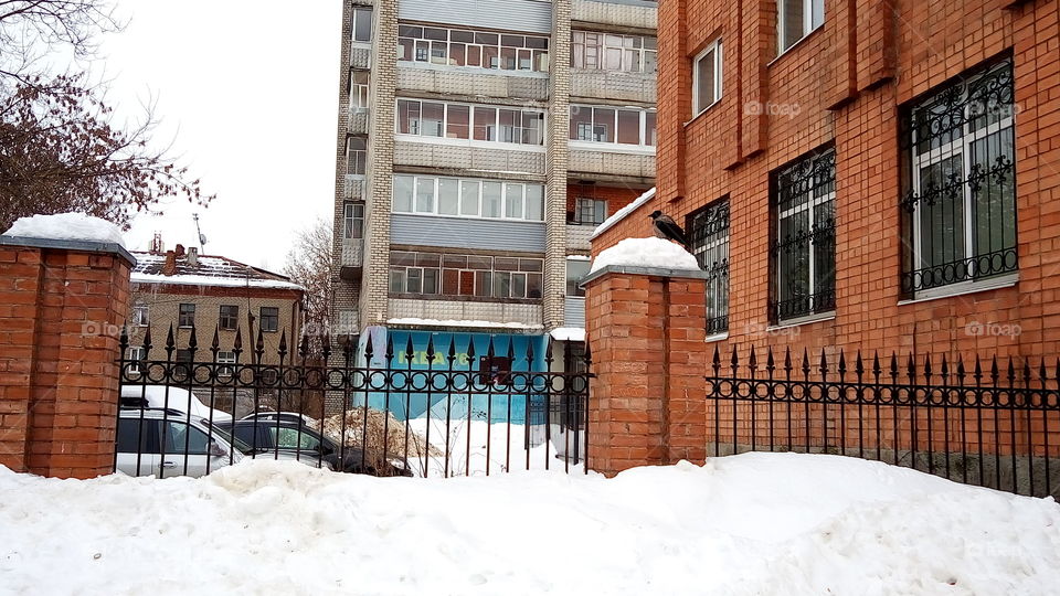 улица.дом.зима.ворон.