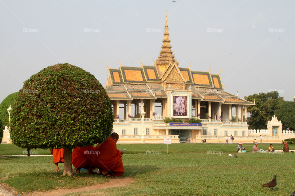 Monks rest in the shade of a shrub outside the royal palace complex in Phnom Penh, Cambodia