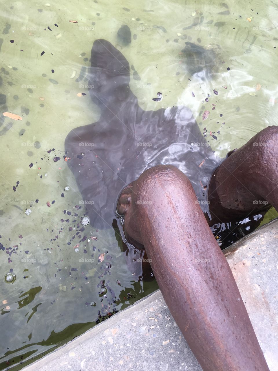 Sculpture capsized in fountain 