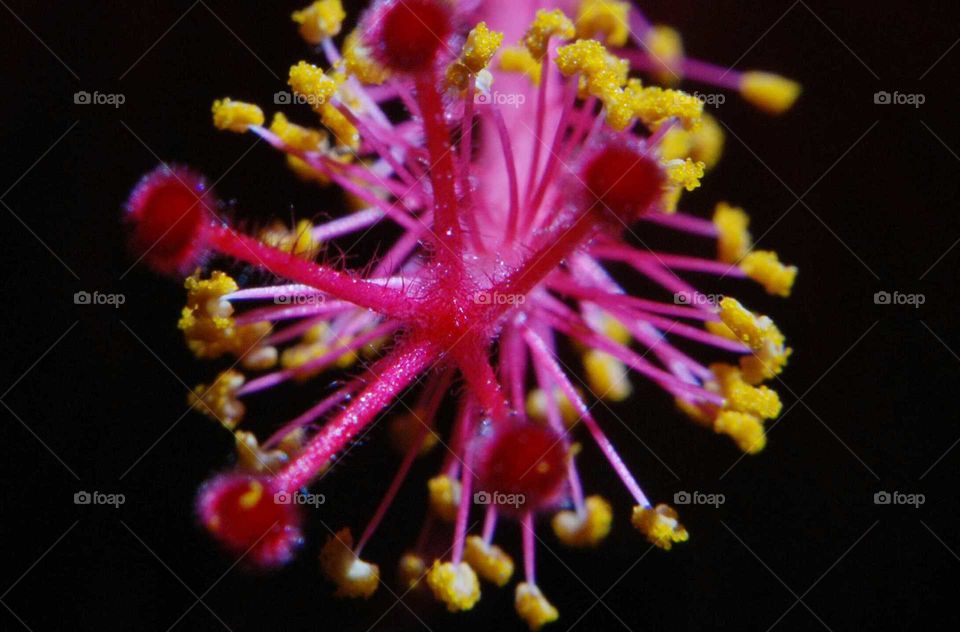 waiting for a butterfly