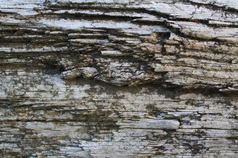 Rustic Wood Texture