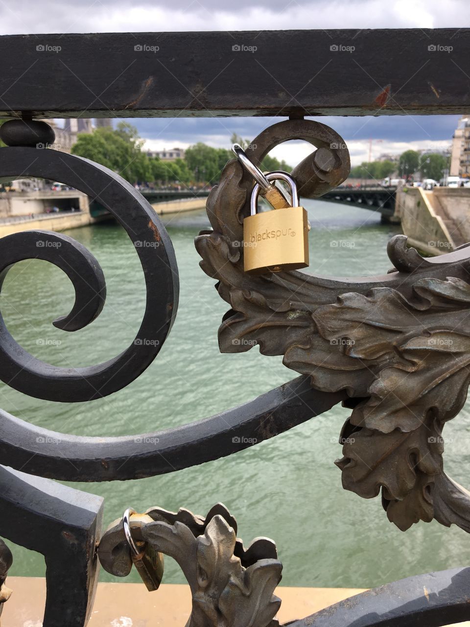 Lock of love in Paris 