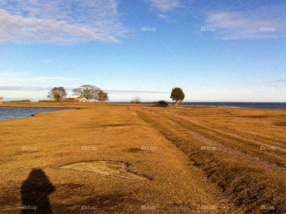 BETWEEN THE SKY AND THE PARADISE.