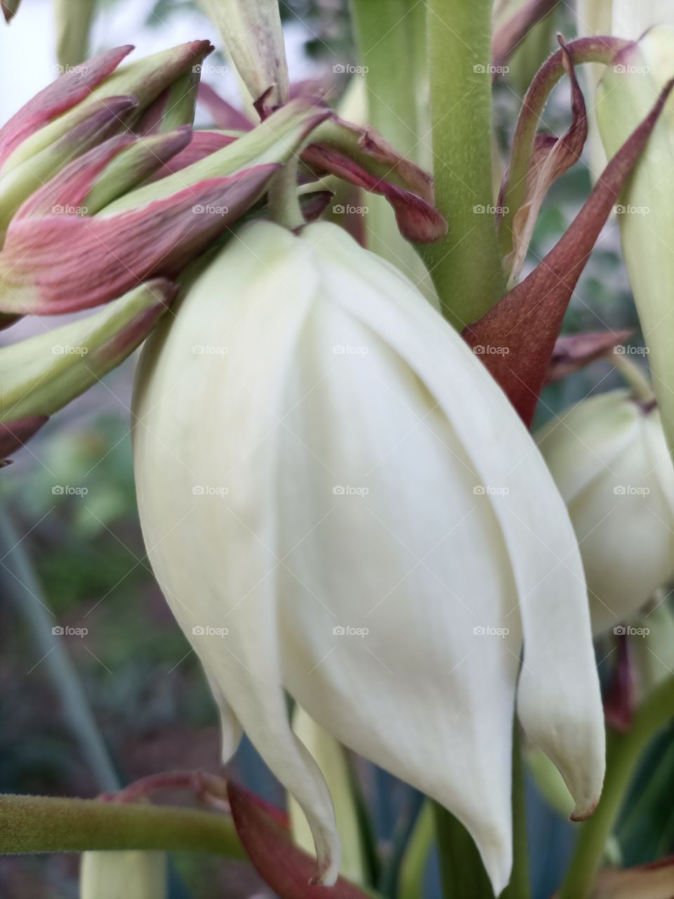 The beauty in nature