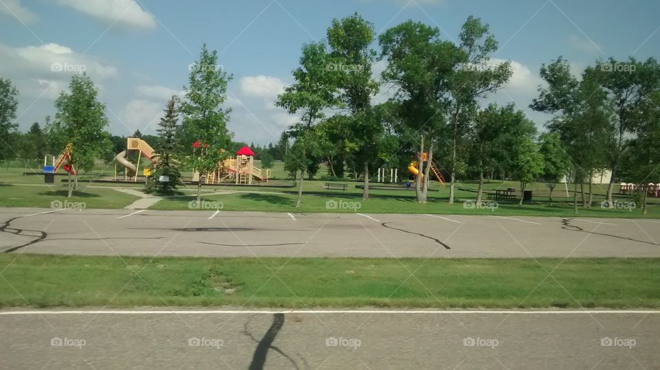 Tree, Competition, Road, Daylight, Landscape