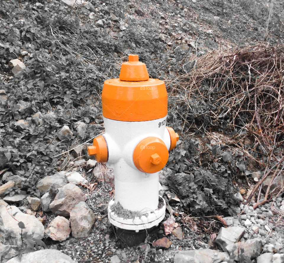 Orange and White Fire Hydrant Up in the Mountainside 