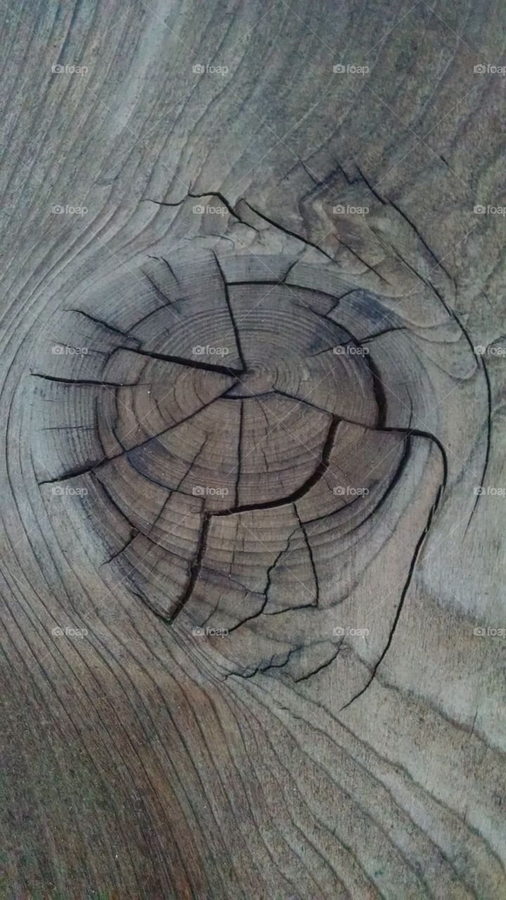 wood